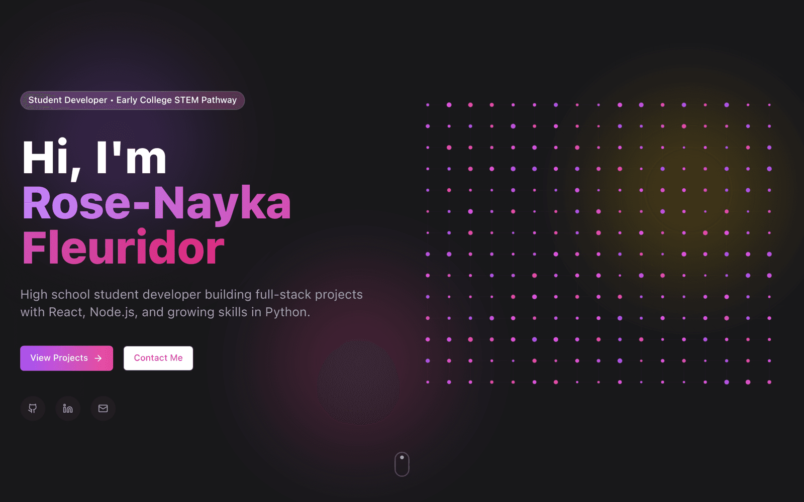 Nayka's Portfolio project preview
